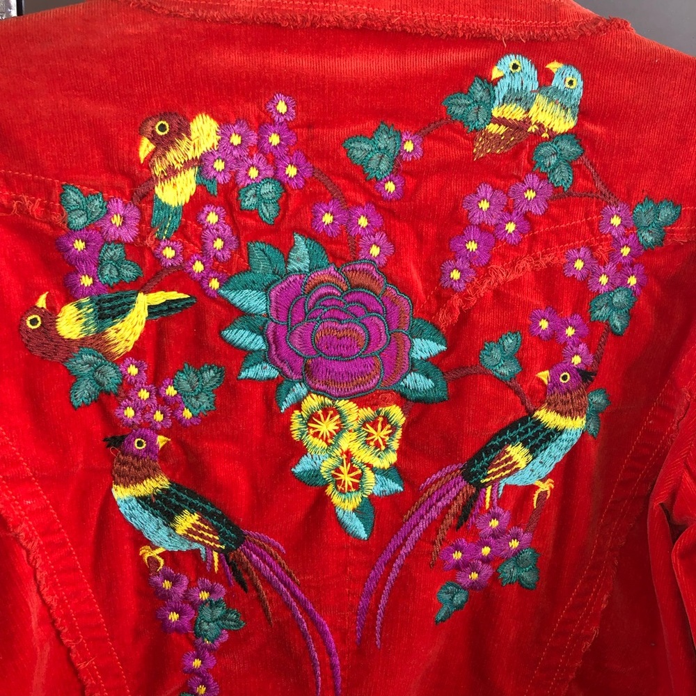 Beautiful Jacket - image 5